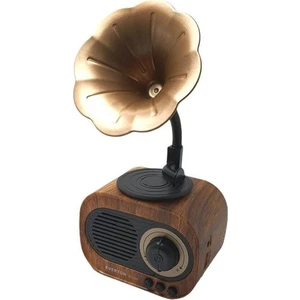 RT-707 Kablosuz Bluetooth Hoparlör Usb/sd/fm/bt Nostalji Radyo Gramofon Model