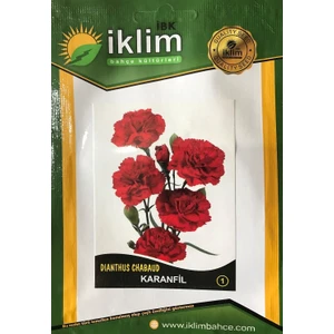Karanfil Çiçeği Tohumu-1 Kırmızı Takribi 50 Adet Tohum