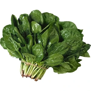 Yerli Ispanak Tohumu - 250 gr (Ort 20000 Ad)