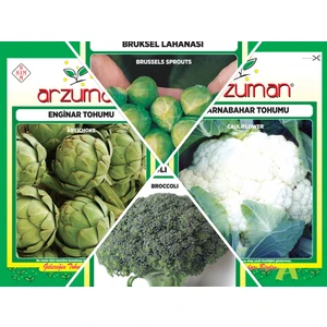 Brokoli-Karnabahar-Brüksel Lahanası-Enginar 4'lü Tohum Seti