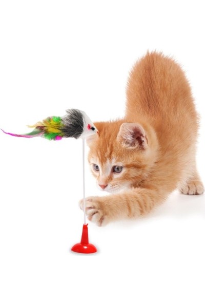 Kaktüs Kedi Vantuzlu 20 cm Kedi Fare Oyuncağı