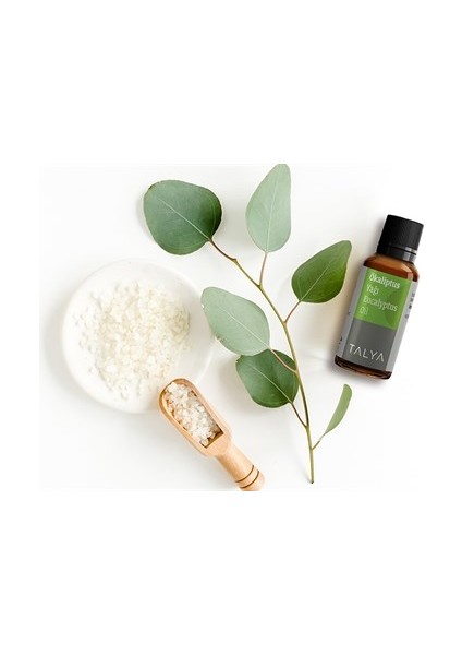 Ökaliptus Yağı (Okaliptus Yağı), 20 ml
