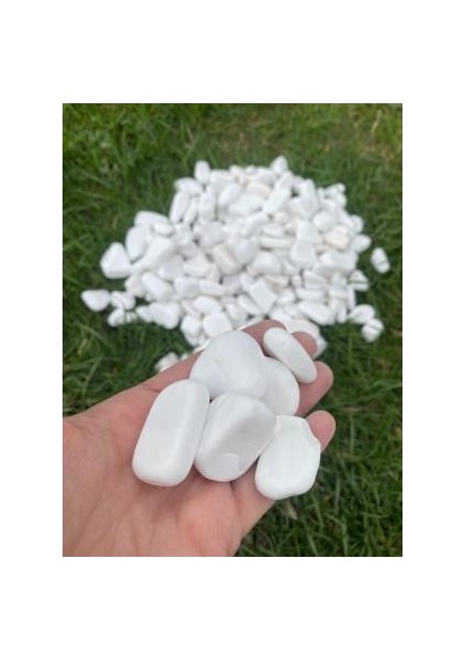 Beyaz Dolomit Taş 10KG 3-6cm Doğal Renkli Peyzaj Taşı Dekoratif Akvaryum Bahçe Süs Taşları