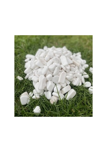 Beyaz Dolomit Taş 5 kg 2-4 cm Peyzaj Taşı Dekoratif Akvaryum Bahçe Süs Taşları Saksı Taşı fiyatları