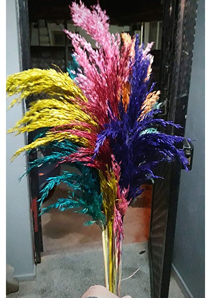 Dekoratif Şoklanmış Pampas Otu Karışık Renk 100 cm Uzun Ömürlü Aksesuar