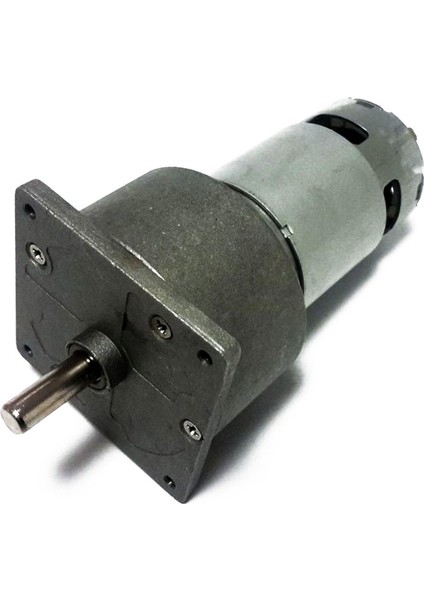 60MM 12V 10RPM Redüktörlü Dc Motor