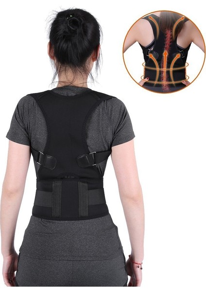 Manyetik Mıknatıslı Korse fiyatları