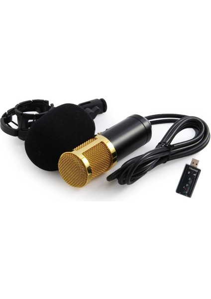 BM-800+USB Ses Kartı Profesyonel Mikrofon Seti