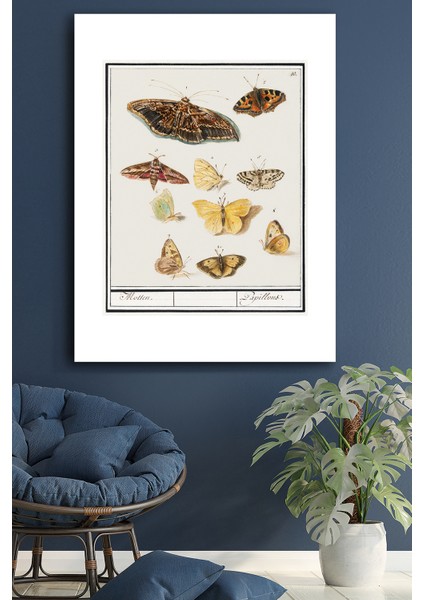 Kanvas Tablo Hayvanlar Dekoratif Duvar Tablosu