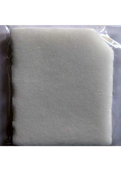 Arçelik S 4210 4230 4240 4250 Süpürge Motor Koruma Filtresi 2'li modelleri