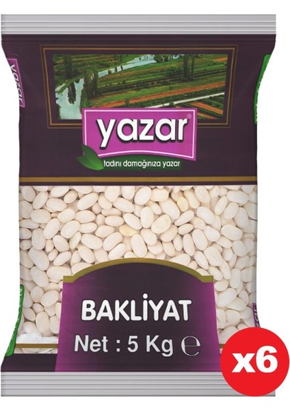 Dermason Fasulye 6 x 5 kg fiyatları