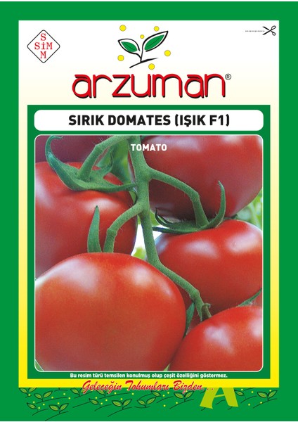 Işık (Sırık F1) Domates 10 Adet