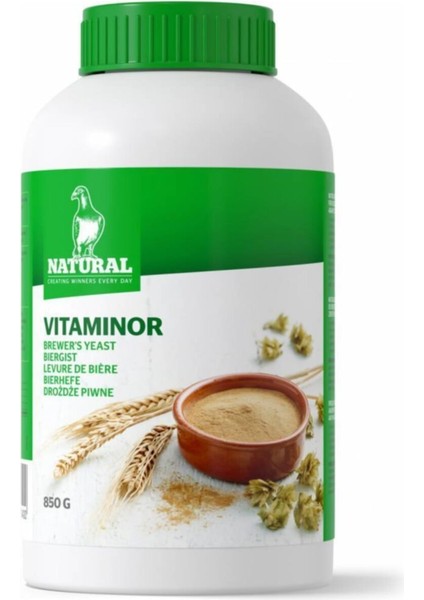 Vitaminor Bira Mayası 850G