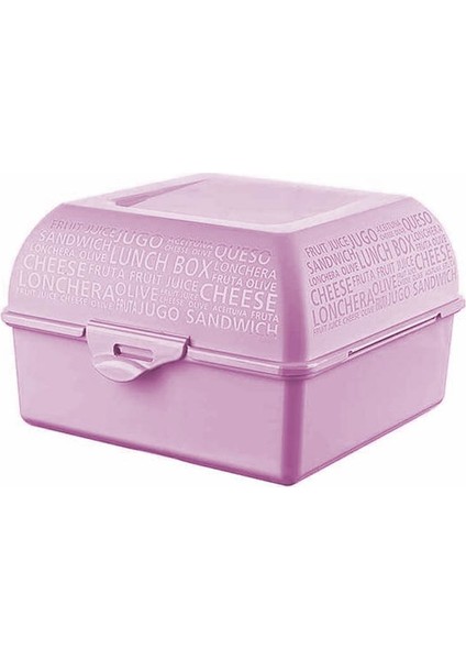AP-9081 Takeaway Beslenme Kabı Pembe