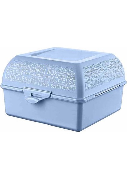 AP-9081 Takeaway Beslenme Kabı Mavi