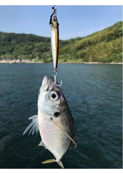 Metal Adict 02 72 mm 30 gr Jig Yem - 01 fiyatları