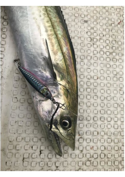 Metal Adict 02 72 mm 30 gr Jig Yem - 01 indirimleri