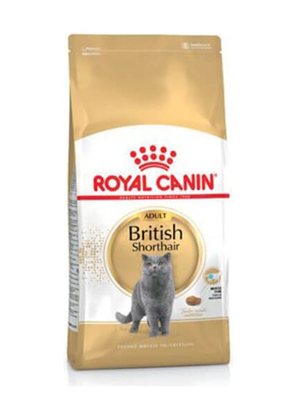 British Shorthair Adult Kedi Maması 4 kg Yetişkin Kedi Maması