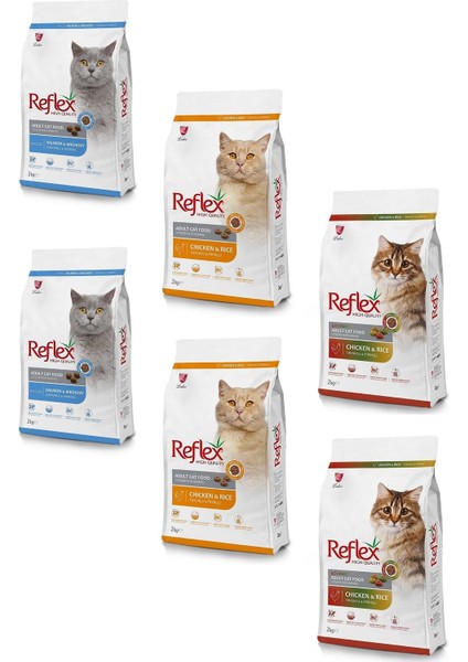 Yetişkin Karışık Kedi Maması Paketi Multicolor-Tavuk-Somon 2 kg (6 Adet)