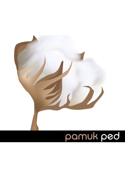 Pamuk Ped Mega Gece 36 Adet + Günlük Ped Mega Normal 80 Adet