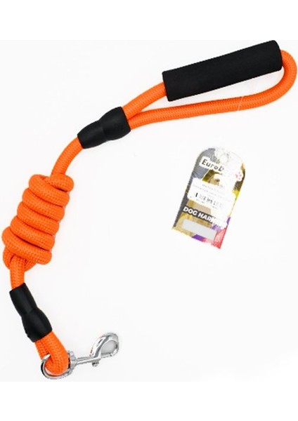 Köpek Uzatma Tasması 14MMX120 cm Turuncu