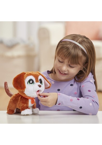 Yürüyen Kaka Yapan Dostlarım Köpek E8945