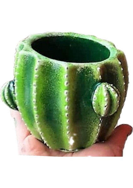 Kaktüs Şekilli Sakı Silikon Kalıp K-815