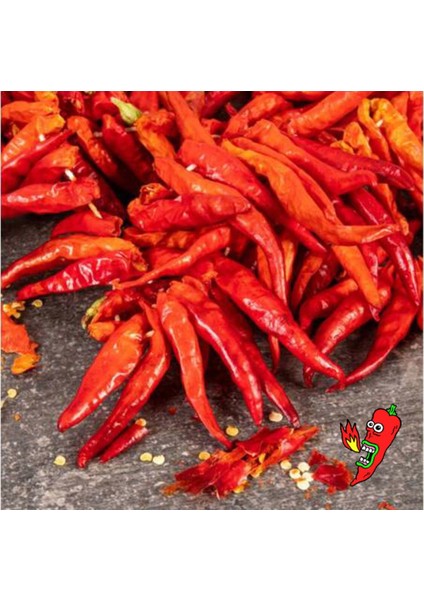 Güneşte Kurutulmuş Yöresel Kuru Süs Biber Yeni Mahsul Antep Atom Biber Kurusu 1 Dizi ( 200 Adet ± )