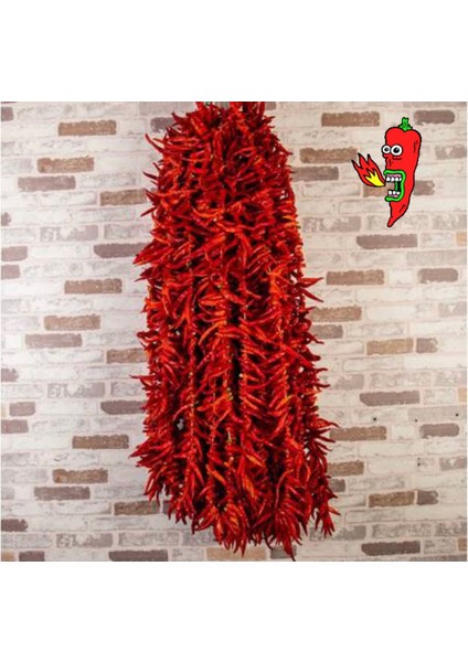 Güneşte Kurutulmuş Yöresel Kuru Süs Biber Yeni Mahsul Antep Atom Biber Kurusu 1 Dizi ( 200 Adet ± ) modelleri