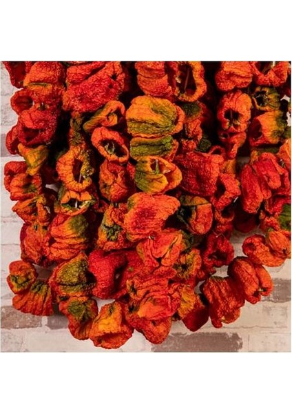 Az Acı Biber Kurusu 1 Dizi ( 50 Adet ) fiyatları