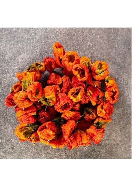 Az Acı Biber Kurusu 1 Dizi ( 50 Adet ) modelleri