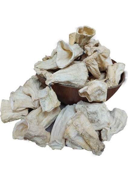 Güneşte Kurutulmuş Gaziantep Yöresel Yeni Mahsul Doğal Haylan Kabağı Kurusu 1 Dizi ( 50 Adet )