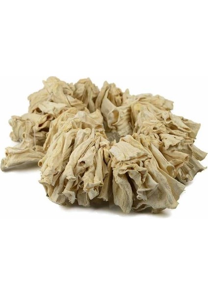 Güneşte Kurutulmuş Gaziantep Yöresel Yeni Mahsul Doğal Haylan Kabağı Kurusu 1 Dizi ( 50 Adet ) fiyatları