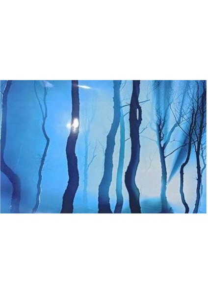 Arka Fon (Umut Ormanı) Uzunluk 50 cm Yükseklik 60 cm