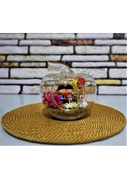 Mini Elma Sevgiliye Çiçek Teraryum fiyatları