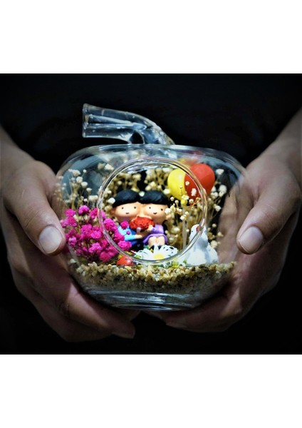 Mini Elma Sevgiliye Çiçek Teraryum fırsatları