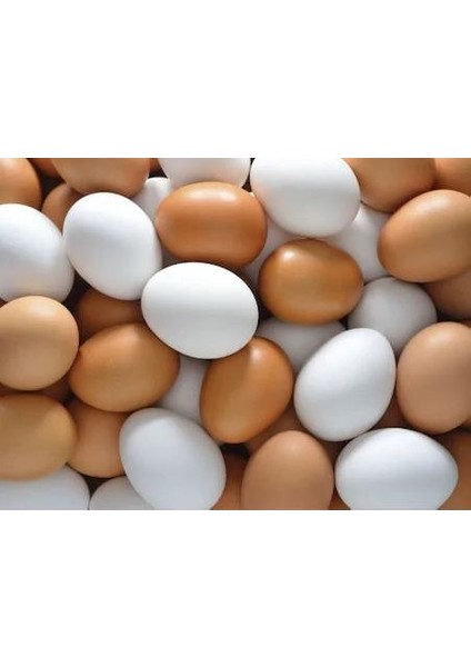 Plastik Yumurta 10 Adet