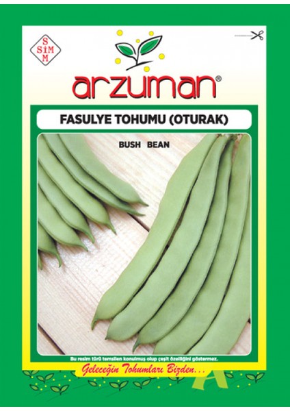 Oturak Fasulye Tohumu 50 gr