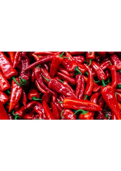 Yerli Orta Acı Maraş Biberi Tohumu 25 gr Ort 3000 Ad Tohum