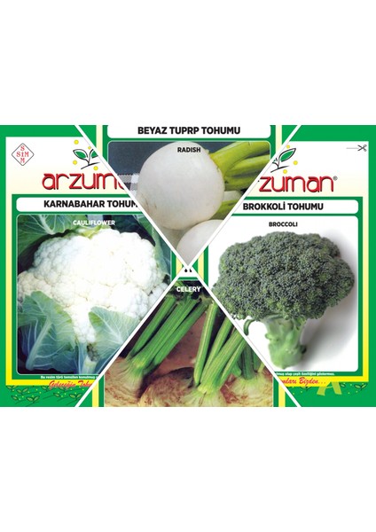 Karhabahar - Brokoli - Beyaz Turp - Kereviz 4'lü Tohum Seti
