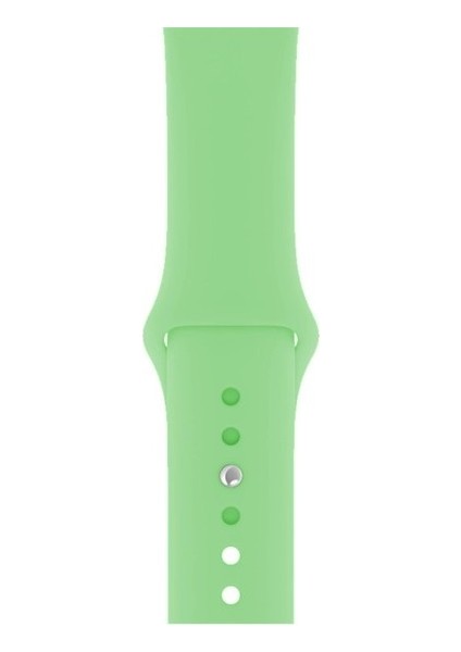 Apple Watch 2 42MM Uyumlu Kordon Mat Jel Silikon Saat Kordonu 42/bb--Mint