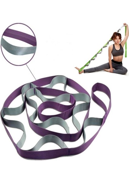 12 Kafes Yoga Bant Streç Böler Direnç Kayış, Boyutu: 250 x Olanağı Sağlayan 3,8 Cm'lik (Mor) (Yurt Dışından) modelleri
