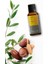 Argan Yağı, Soğuk Sıkım,%100 Saf ve Doğal, 20 ml 5