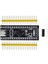 STM32F401CCU6 Geliştirme Kartı 3