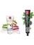 2-6 Yaş Arası Çocuklar Için Meyveli Dondurma Diş Macunu 50 ml + Blackwood Whitening Diş Macunu 75 ml 1