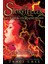 The Storyteller (The Reader) - Traci Chee 1