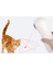 Kedi Oyuncağı (Yurt Dışından) 3