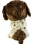 Muddles Beanie Boo Kahverengi Beyaz Köpek 15 Cm. 3