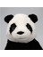 Kramıg Panda Peluş Oyuncak Ayıcık Uyku ve Oyun Arkadaşım 30 cm 3