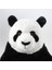 Djungelskog Peluş Ayı Panda Uyku ve Oyun Arkadaşım 50 cm 3